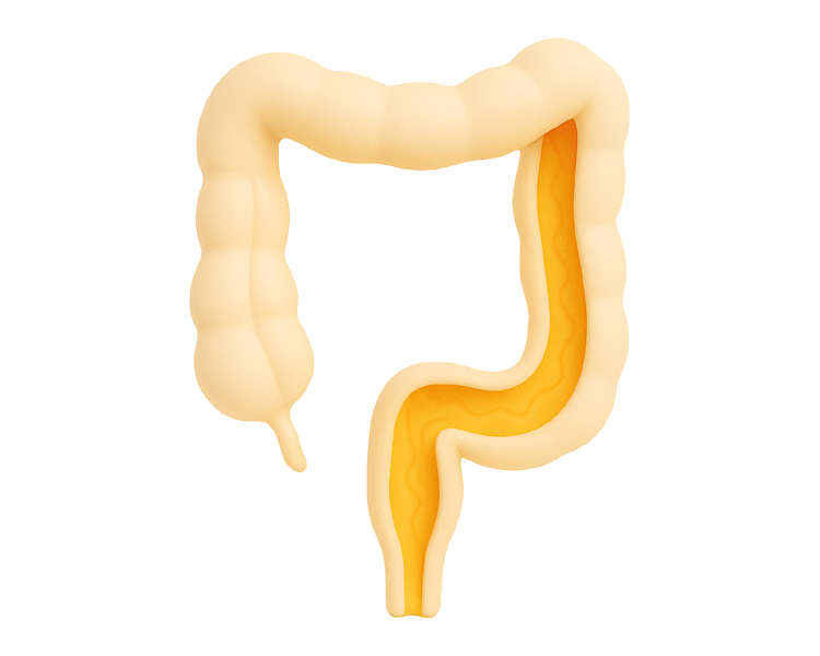 Колопроктолог