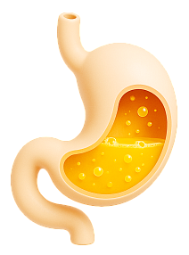 Тошнота и рвота